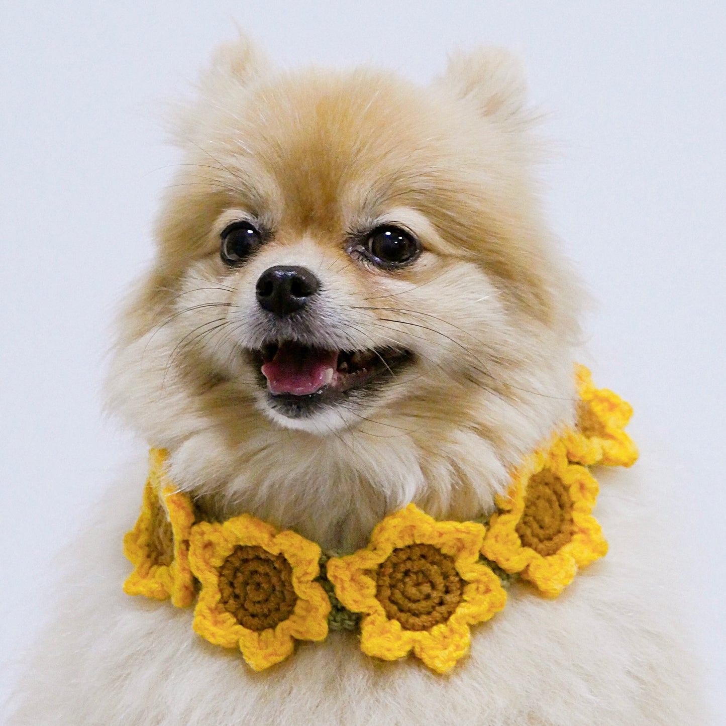 Sunflower Crochet Collar