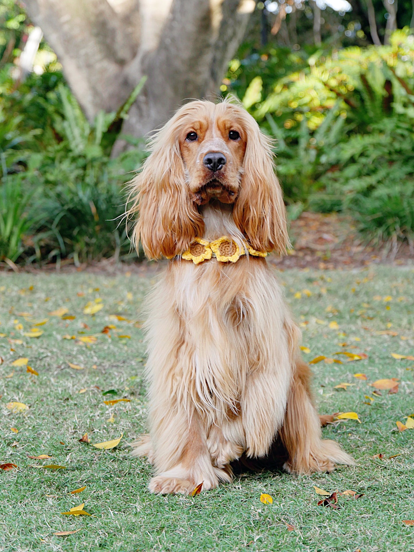 Sunflower Crochet Collar