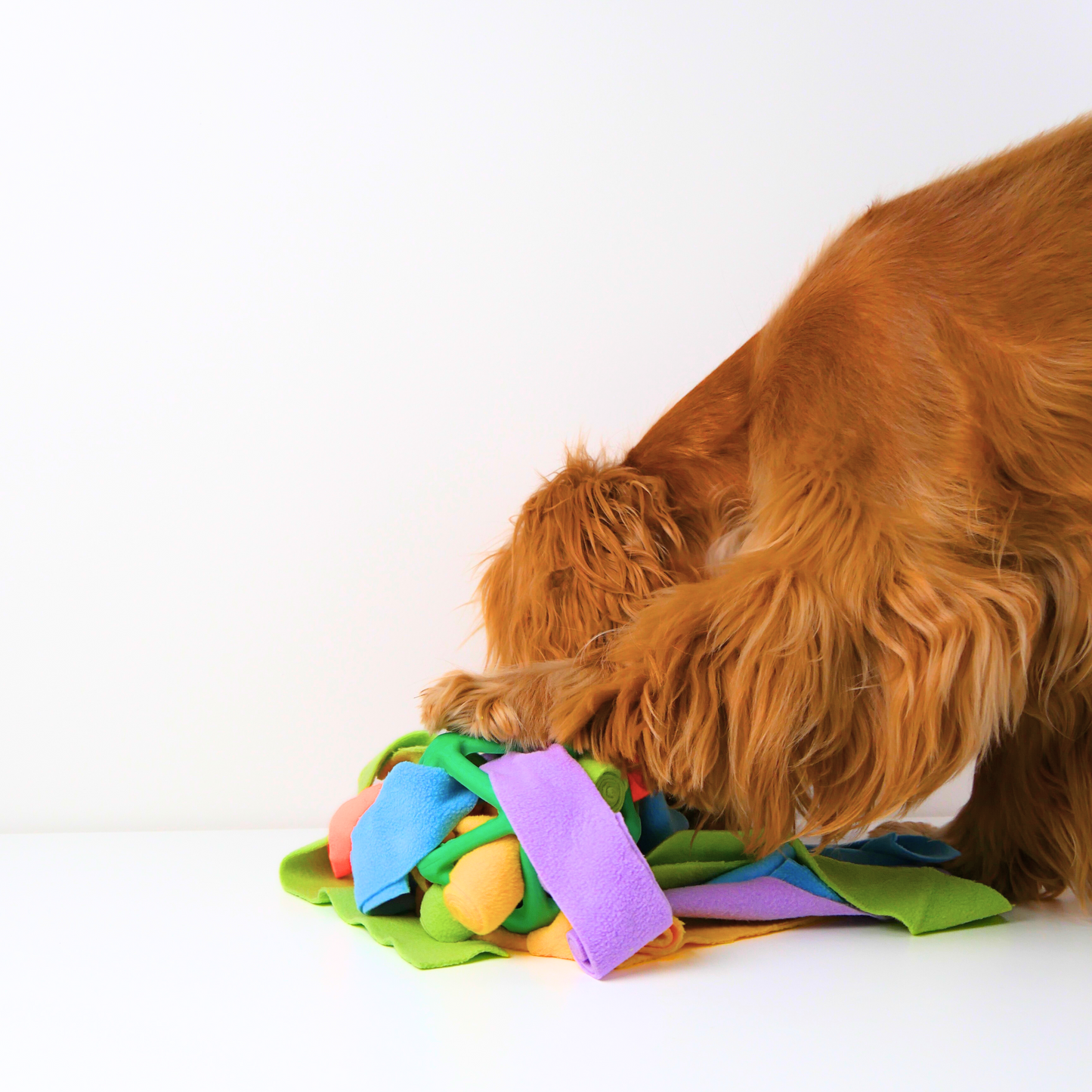 Snuffle Ball